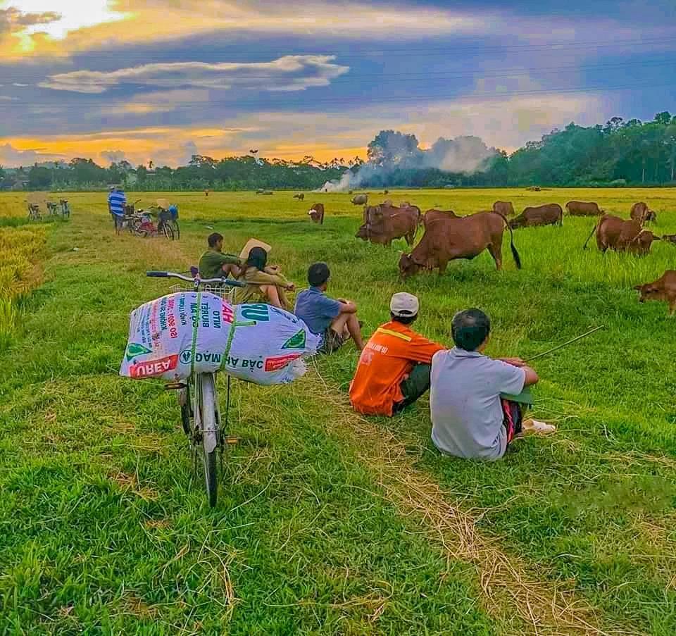 チェリーアイスサンド